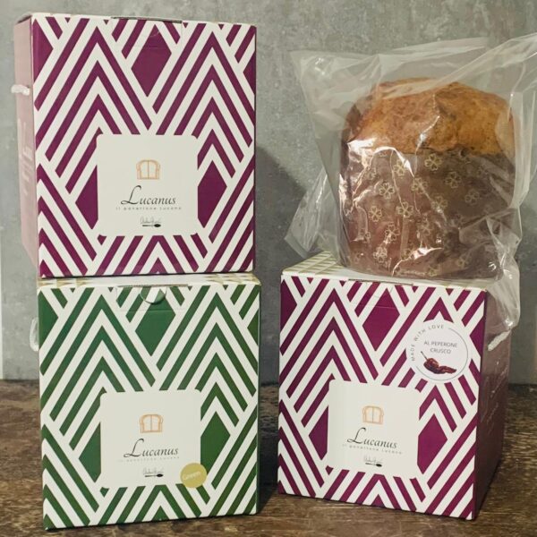 Lucanus - Panettone Salato